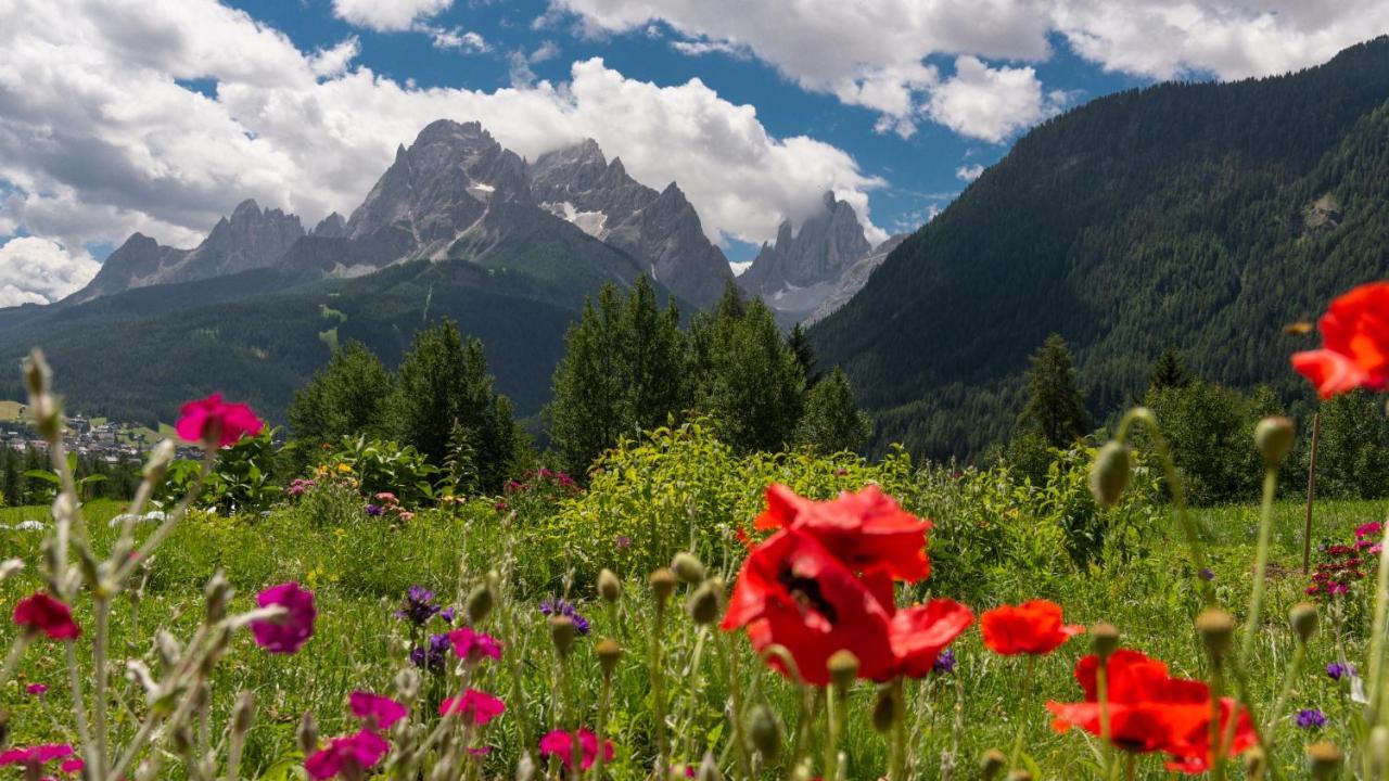 Im Wiesengrund Apartments Sexten Exteriér fotografie